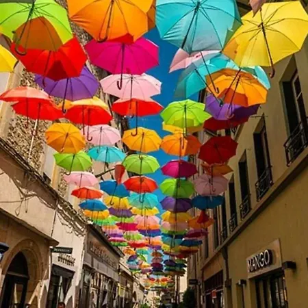 T3 Avec Terrasse Carcassonne